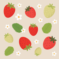 Vector fruit strawberry elements Set