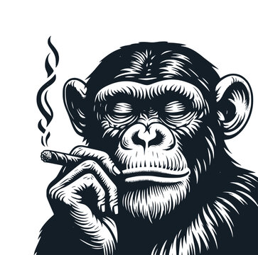 An ape is smoking while closing his eyes. Vector Illustration.
