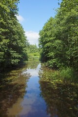 View of lake landscape in summer.