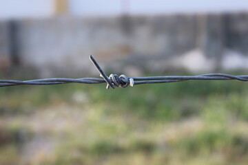 barbed wire fence