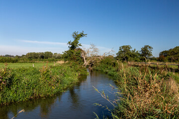 The River Ouse at Barcombe Mills, on a sunny September morning
