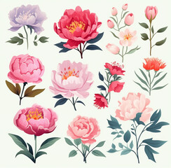 Set of watercolor elements collection of garden peonies red, burgundy flowers, leaves, branches
Generative AI