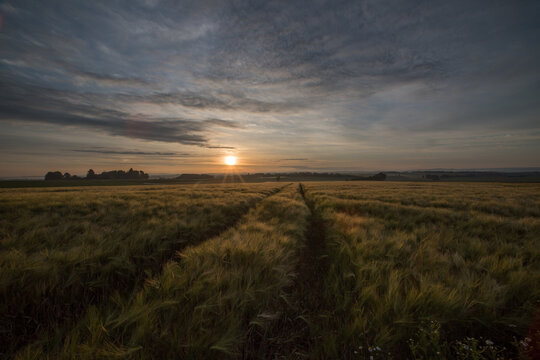 Morgenstimmung