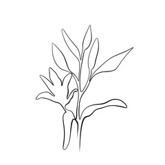 Continuous drawing of lines. Line Art of Lily Flower Continuous Line Drawing. Vector minimalist
