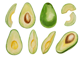 Watercolor аvocado set, hand painted on paper, white background, isolated illustration for recipe, cookbook, design, backgrounds