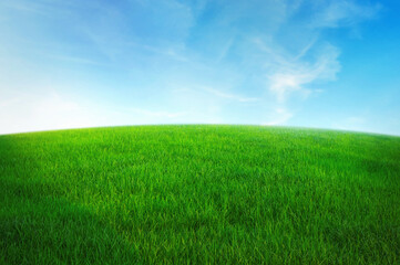 Fototapeta na wymiar green grass field with blue sky ad white cloud. nature landscape background