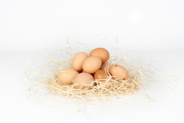 eggs in straw