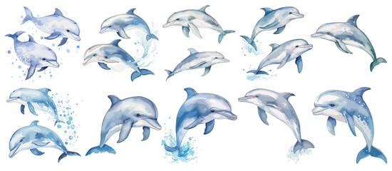 set of watercolor dolphin, Sticker, ornament, illustration,  PNG, generated ai