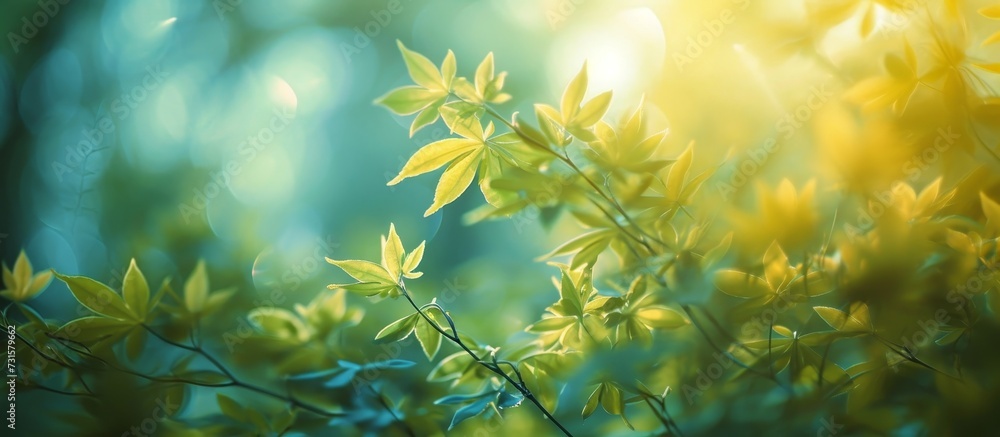 Aufkleber the sunlight filters through the foliage of a tree, creating a beautiful natural display of light an