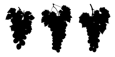 Black silhouette of grapes on the white background. - obrazy, fototapety, plakaty