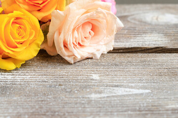 Beautiful roses on wooden board, copy space.