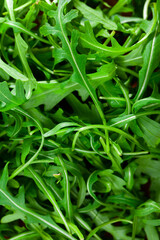 Fototapeta premium Raw and fresh arugula, green leaves, from above. Surface and background, food shot.