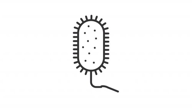Animated vibrio cholerae icon. Infectious agent line animation. Cholera disease. Contagious illness. Black illustration on white background. HD video with alpha channel. Motion graphic