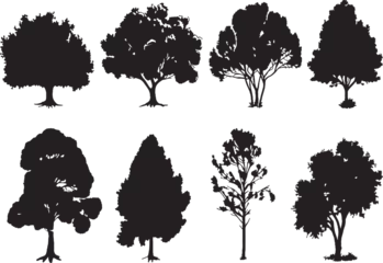Crédence de cuisine en verre imprimé Papillons en grunge Set Trees. Hand drawn vector illustration 