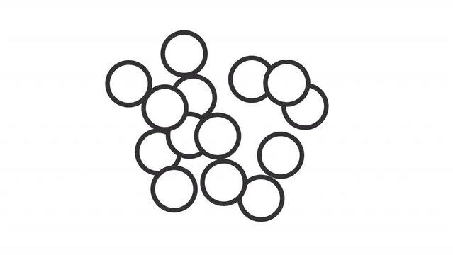 Animated staphylococcus icon. Spherical bacteria line animation. Infectious agent. Gram positive bacterium. Black illustration on white background. HD video with alpha channel. Motion graphic