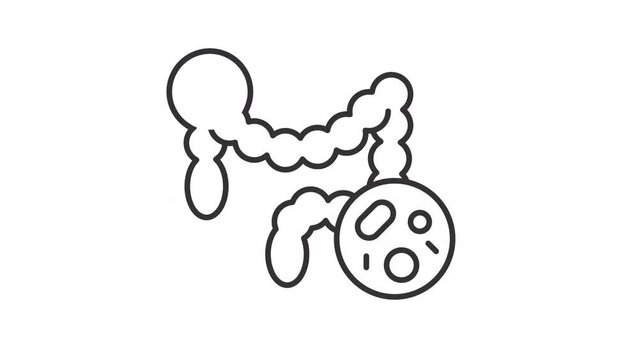 Animated gut virus icon. Gastroenteritis line animation. Gut microbiota, flora. Digestive infection. Black illustration on white background. HD video with alpha channel. Motion graphic