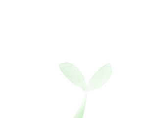Fototapeta na wymiar 水彩の緑の芽のイラスト