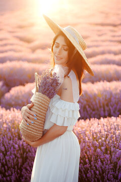 Woman lavender field. Young girl with a basket of lavender flowers