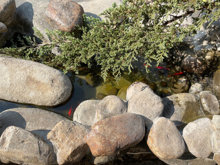 small garden with rock bolts in ornamental pond and trees