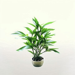 Small decorative interior greenery indoor plant on a white pot in white background 