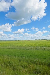 Scenic view of field in summer with clouds in the sky.