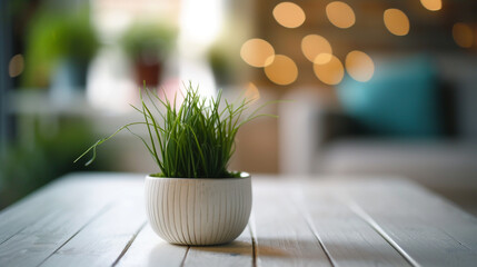 green plant pot on wooden table in a room - obrazy, fototapety, plakaty