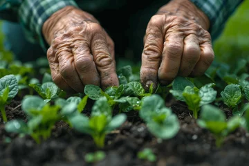 Photo sur Plexiglas Vielles portes A close-up of wrinkled hands planting seeds in a community garden, symbolizing the cultivation of growth, both in plants and personal well-being, in later life.  Generative Ai.