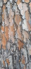 Obraz premium bark of a tree