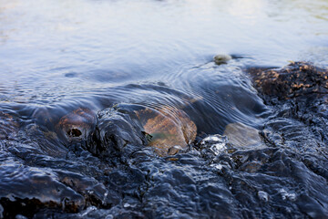 Abstract background stream of water, Waterfall stream on rocks, Rocky riverbank, Calm water stream around the rocks, Stream