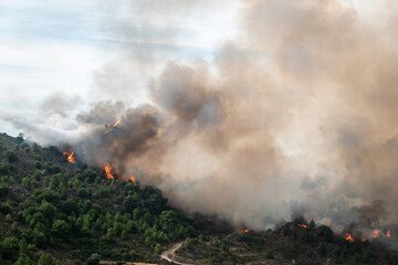Missão crítica no céu: Avião de combate a incêndios enfrenta devastador inferno florestal sob uma cortina de fumaça