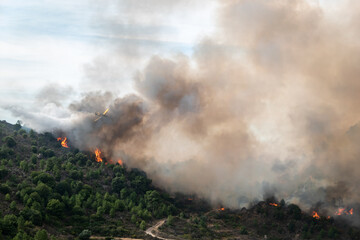 Missão crítica no céu: Avião de combate a incêndios enfrenta devastador inferno florestal sob...