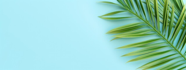 Fototapeta premium Tranquil Green Palm Leaves Framing a Serene Turquoise Background - Generative AI