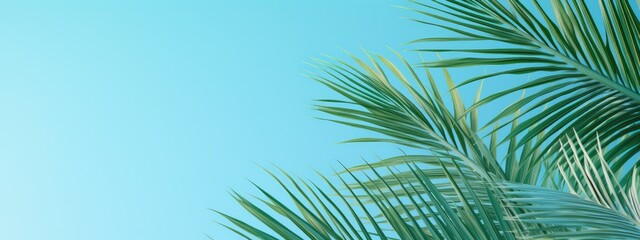 Fototapeta na wymiar Tranquil Green Palm Leaves Framing a Serene Turquoise Background - Generative AI