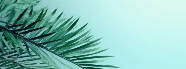 Fotobehang Tranquil Green Palm Leaves Framing a Serene Turquoise Background - Generative AI © Gelpi
