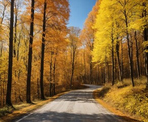 Naklejka na ściany i meble a road in the middle of a forest with yellow trees on both sides autumn season
