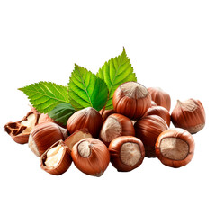 Hazelnuts composition Isolated on transparent background, PNG