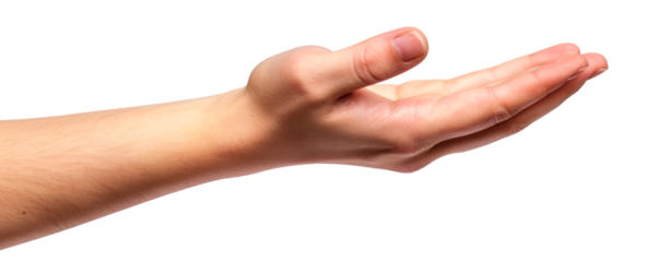 Hand holding something. Open hand. Isolated on transparent background, PNG