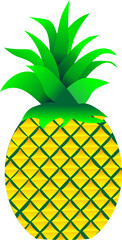 Vector image of pineapple fruit with a transparent background