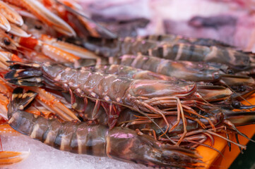 Assortment of fresh daily catch of prawns, shrimps, fishes, seashells, molluscs on ice on fish market in France