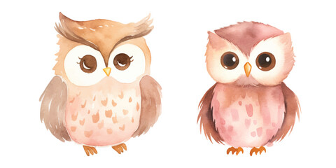 Fototapeta premium cute owl vector watercolor illustration