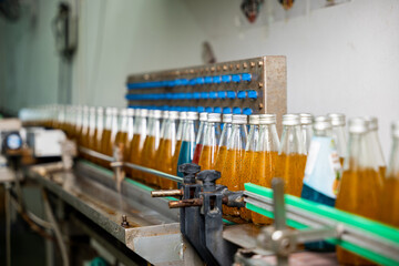 Transparent bottles move along a conveyor belt in the beverage factory filling up with organic...