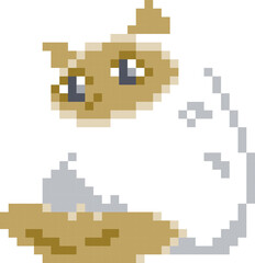 Cat cartoon icon in pixel style