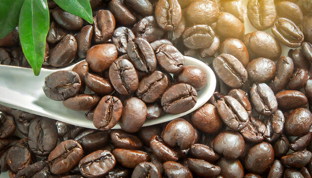 An image of a pile of coffee beans. Coffee bean material.