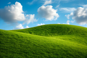 Green grass field with blue sky and white clouds