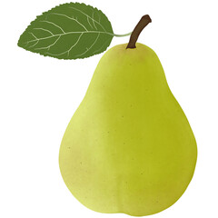 pear Fruit Illustration Cartoon Design.