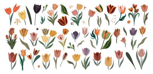 Set of hand drawn tulip flowers design elements, leaves. April birth month flowers. Contemporary modern vector botanical art illustrations in trendy colors isolated on transparent background.