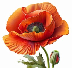 AI generated illustration of a tulip