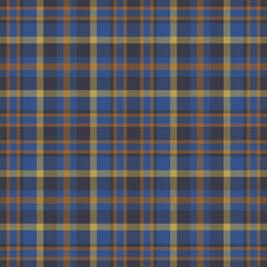 Plaid seamless pattern in blue. Check fabric texture. Vector textile print.
