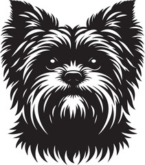 Maltese dog silhouette in black color.