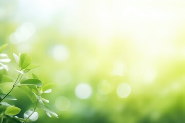 Fototapeta na wymiar Fresh green bio background with blurred foliage and sunlight